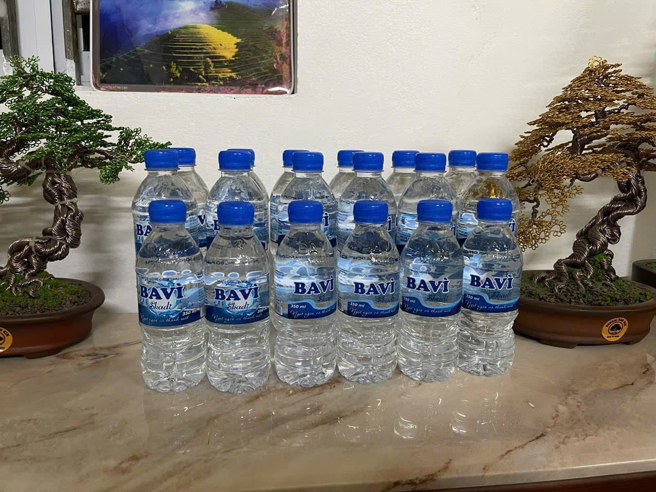 Nước đóng chai 500ml